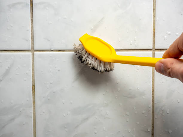Trusted Grapevine, TX Mold Removal Experts